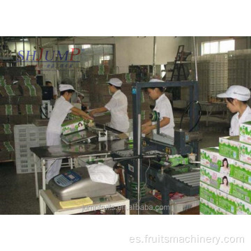 Pasteurizar mini línea de procesamiento de leche láctea uht